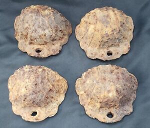 Set Of 4 Antique Cast Iron Sea Shell Nut Covers For A Gas Station Pump