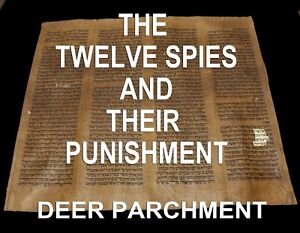 Torah Bible Scroll Vellum Manuscript Fragment 300 Yrs Old Morocco Twelve Spies 