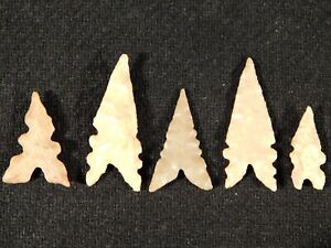 Lot Of Five Nice Eccentric Ancient North African Tidikelt Arrowhead S 2 18