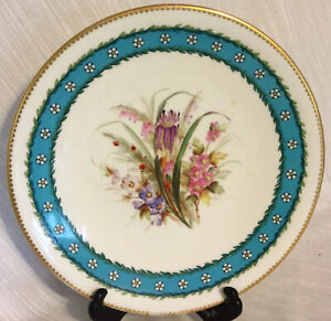 Antique Royal Worcester Botanical Wildflower Cabinet Plate Enamel Jewels 2