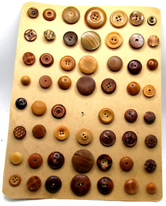 Lot Of 55 Vegetable Ivory Buttons On Collector Card Some Whistles A31