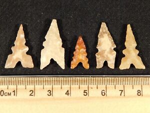 Lot Of Five Nice Eccentric Ancient North African Tidikelt Arrowhead S 2 44