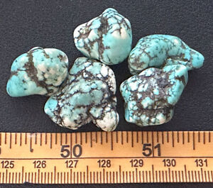  5 Original Navajo Indian Turquoise Trade Beads Mottled Color Fur Trade 1800 S
