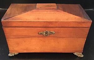 Stunning Antique Mahogany Sarcophagus Tea Caddy Fitted Interior Brass Claw Feet