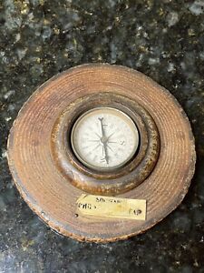 Antique Compass Set In Wood Tree Cross Section